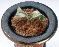 ���Ύ��q���