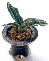 �Q�Έȏ���c���