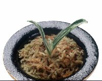 ���Ύȍb��