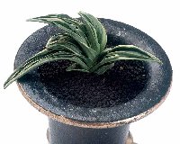 �S�Έȏ�ȗ���