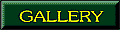 Gallery�i�����Ǝ������i�j