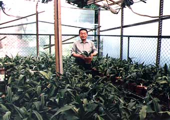 650���̎��e�Q