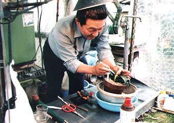 ���ɓ��ꂽ�{�E���ɏ悹�ĉԕ��̏W