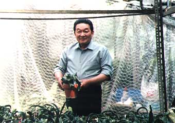 �������������c���q�̎��e����ɂ��������