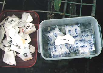 ��������̃V���J�Q��