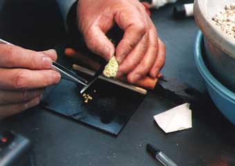 �s���Z�b�g�Ɉ��������ĉԕ��𗎂Ƃ�