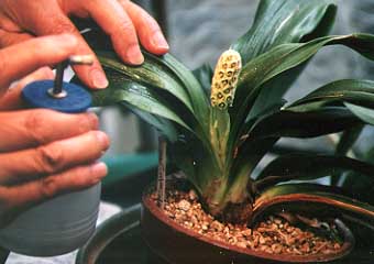 �������œ������ԑS�̂ɂ�����